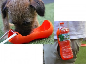 dog bowl water carrier